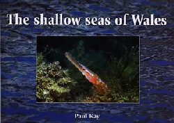 Llun o 'The Shallow Seas of Wales' 
                              gan Paul Kay
